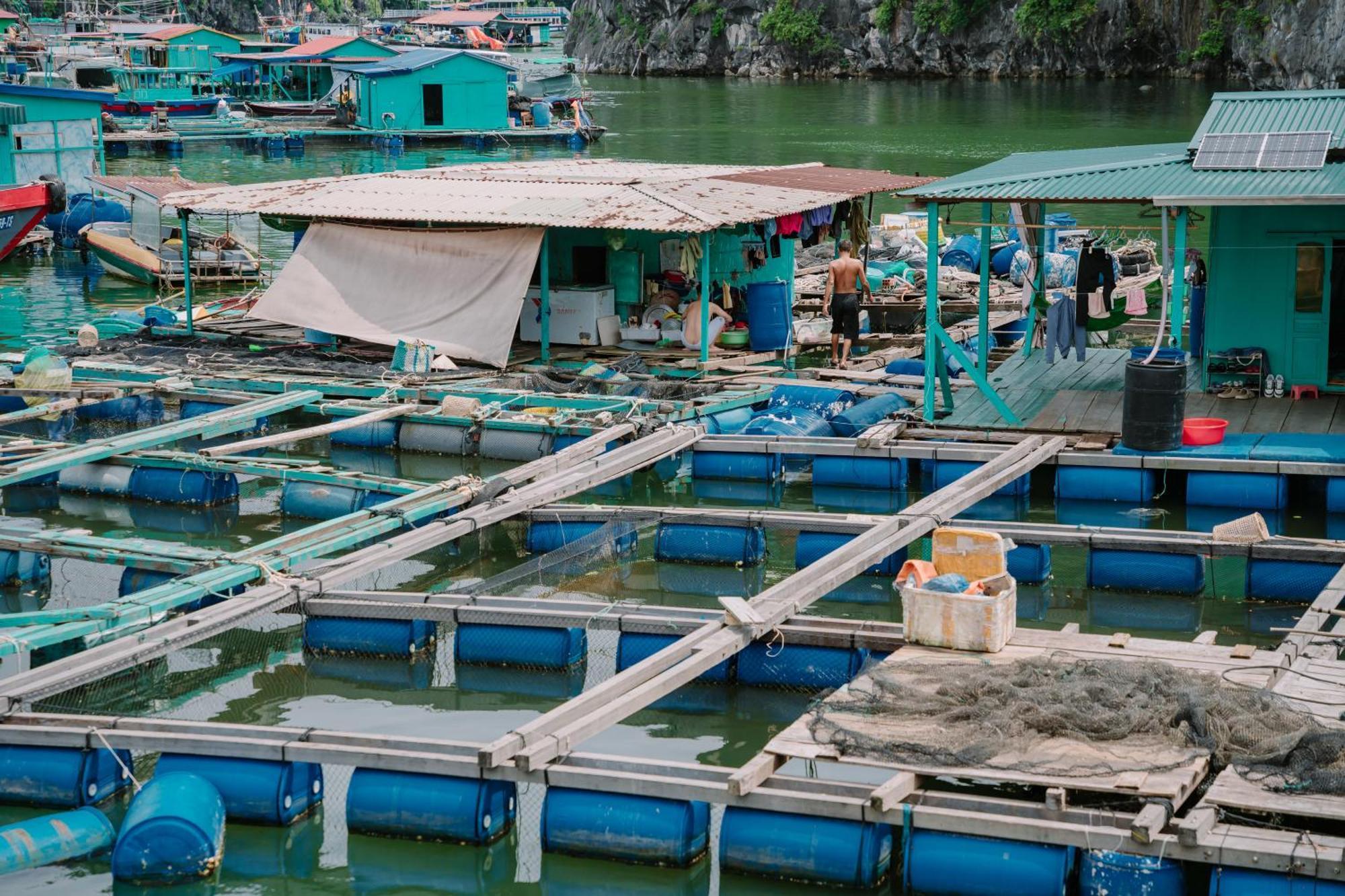 Hotel Venezia Cruises Ha Long Esterno foto